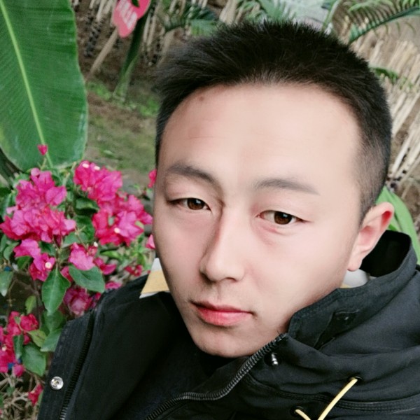 火车纯情的照片