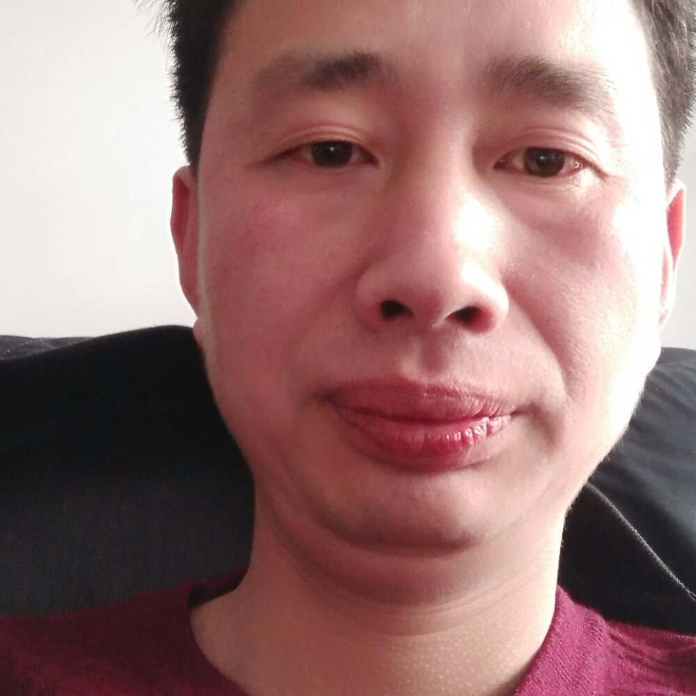 淡淡的春风的照片