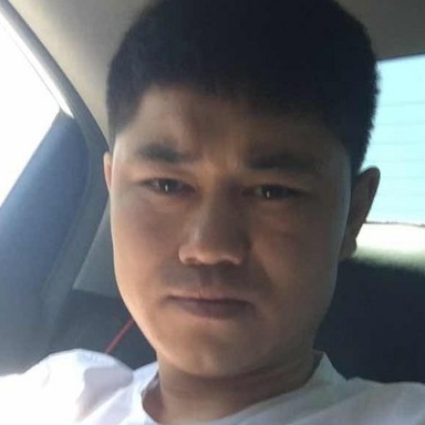 刺猬拉长的照片