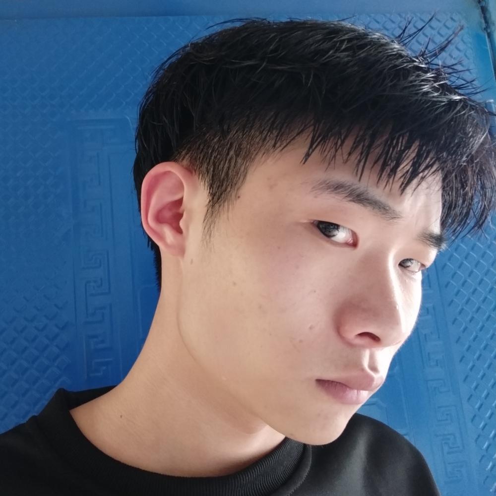 泥猴桃英俊的照片