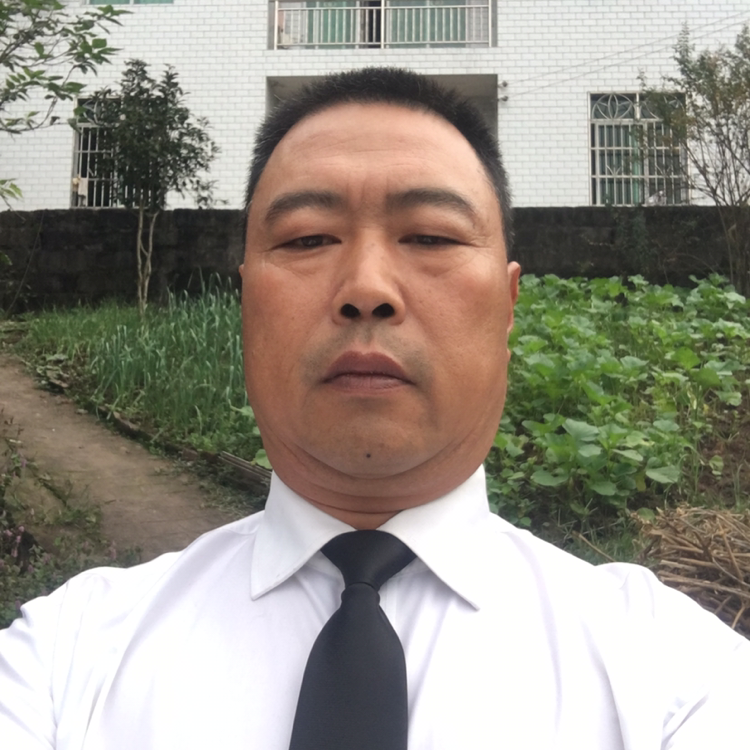 纸鹤挽手拉长的照片