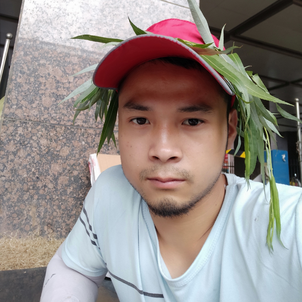 火龙果的大意的照片