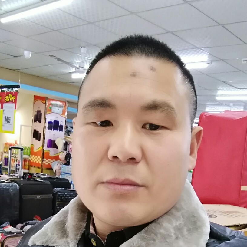 燕之南飞的照片