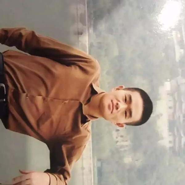 向日葵倾心繁荣的照片