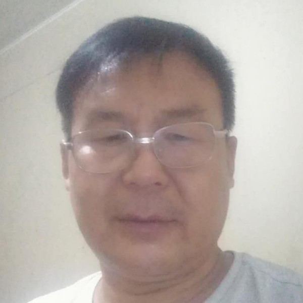 菠萝直率的照片