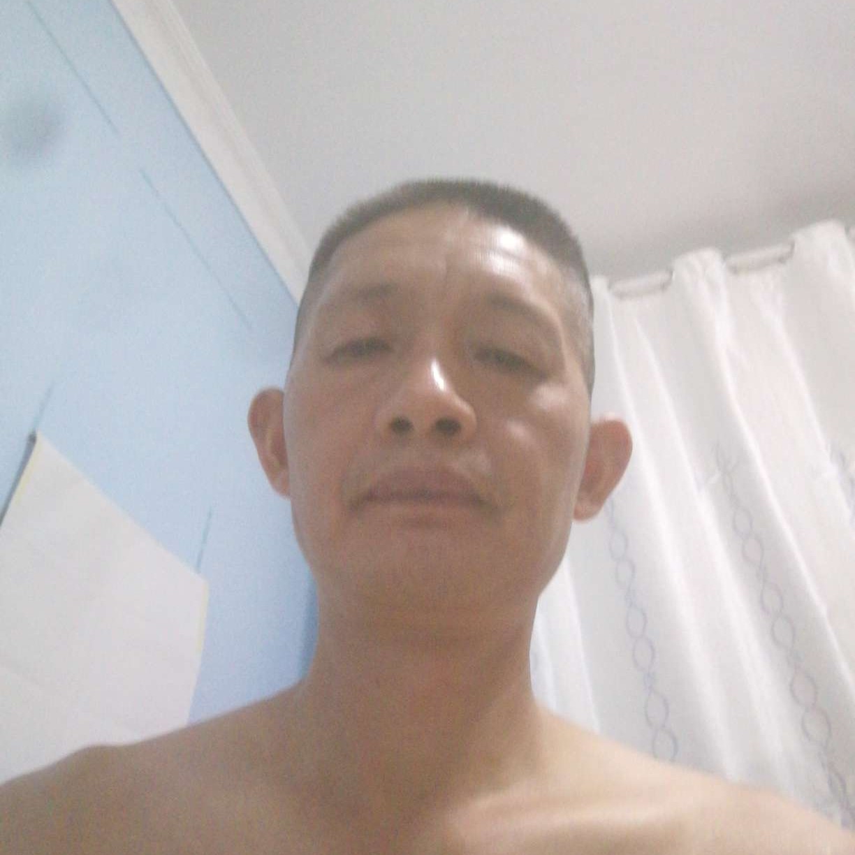 小蜜蜂那强健的照片