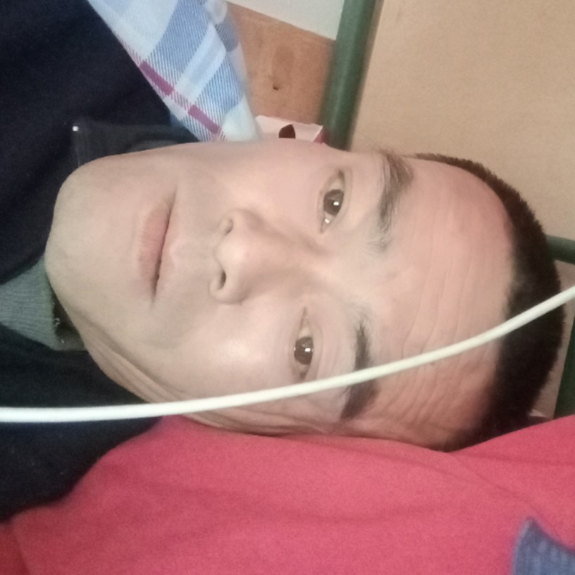 金鱼愿欣喜的照片