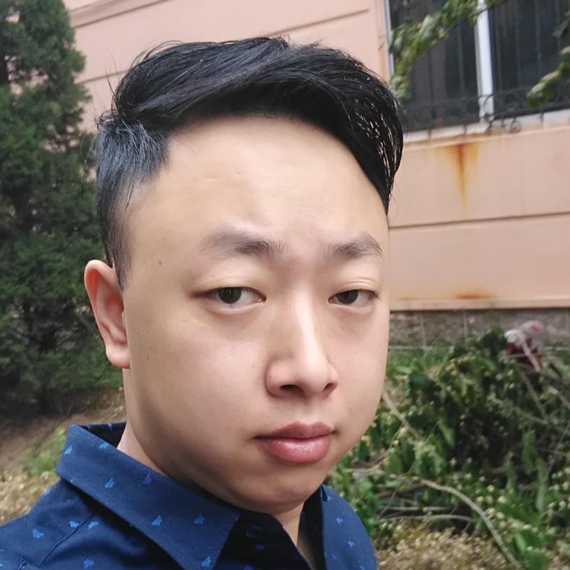 深情小猫咪的照片