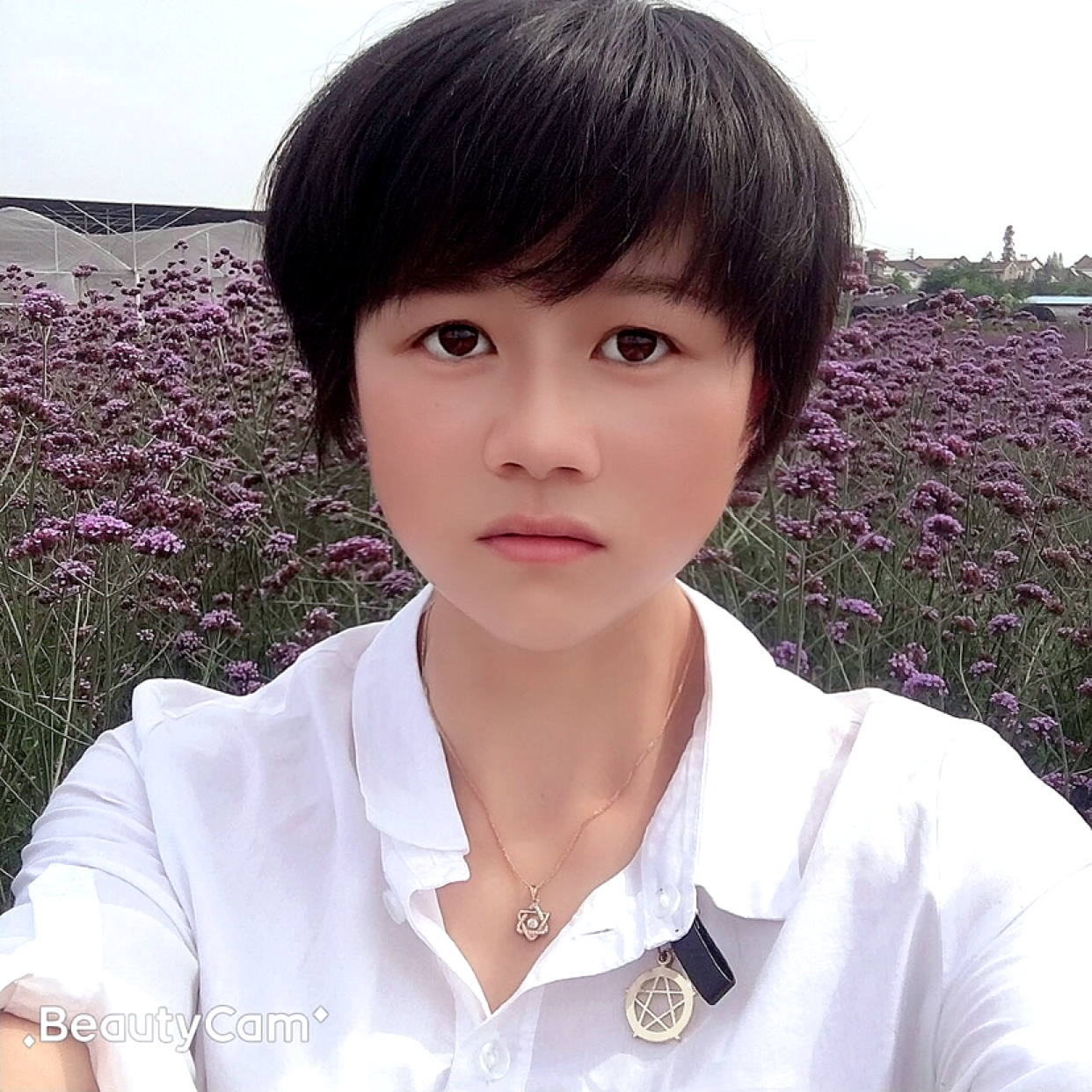 冰柠橙夏的照片