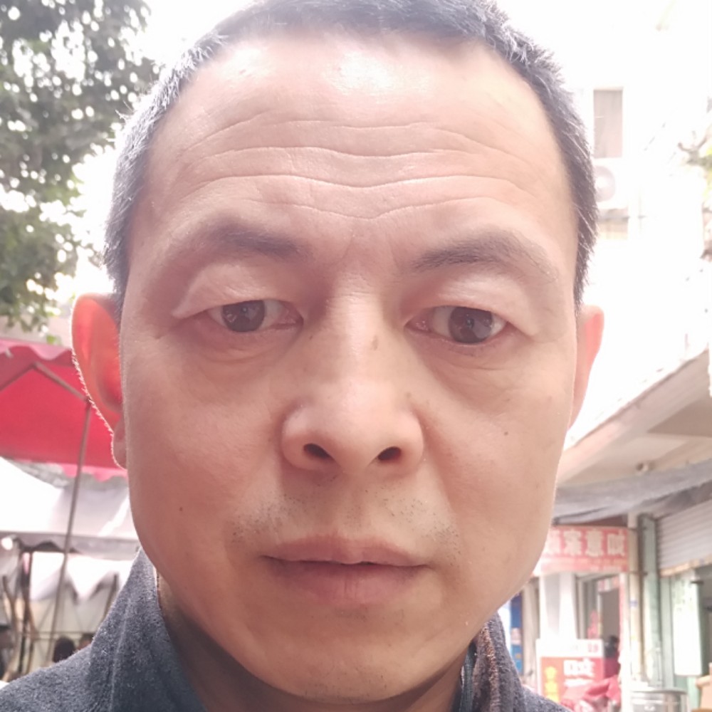 幻灭放弃羊的照片