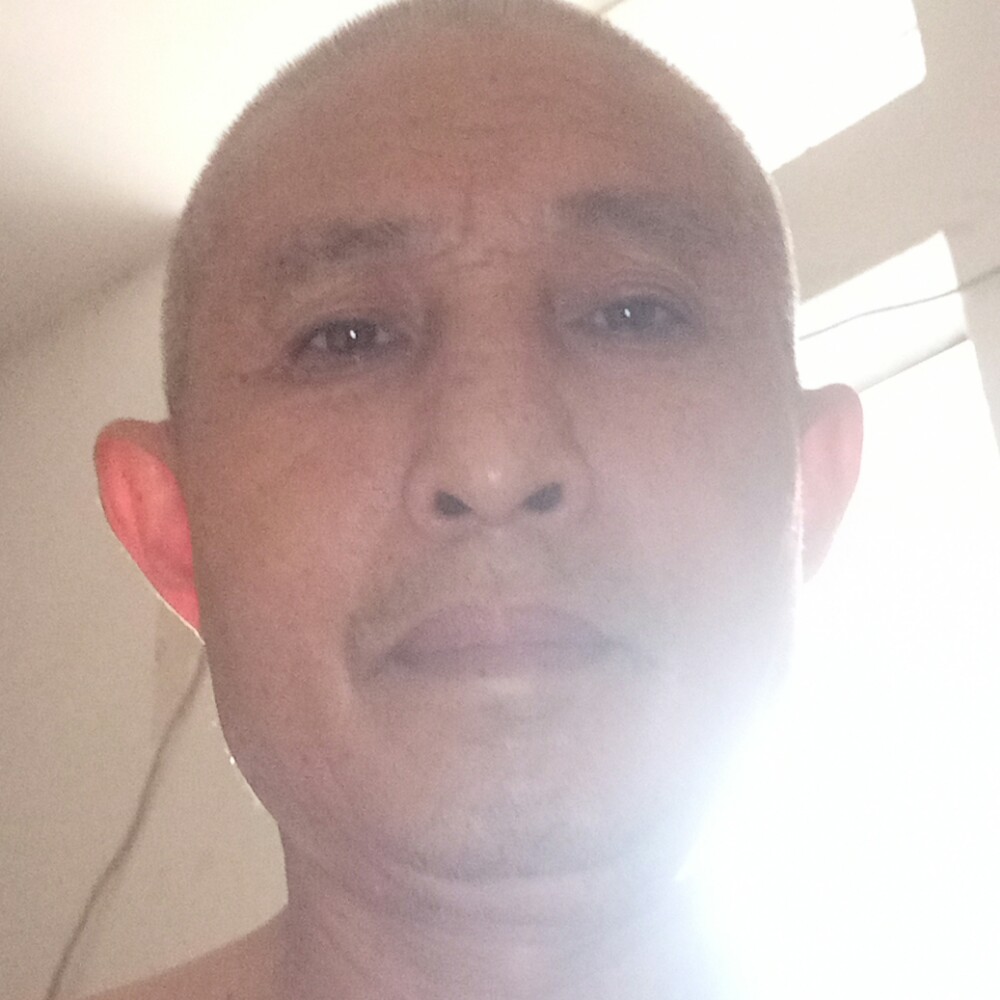 蛋挞激昂的照片