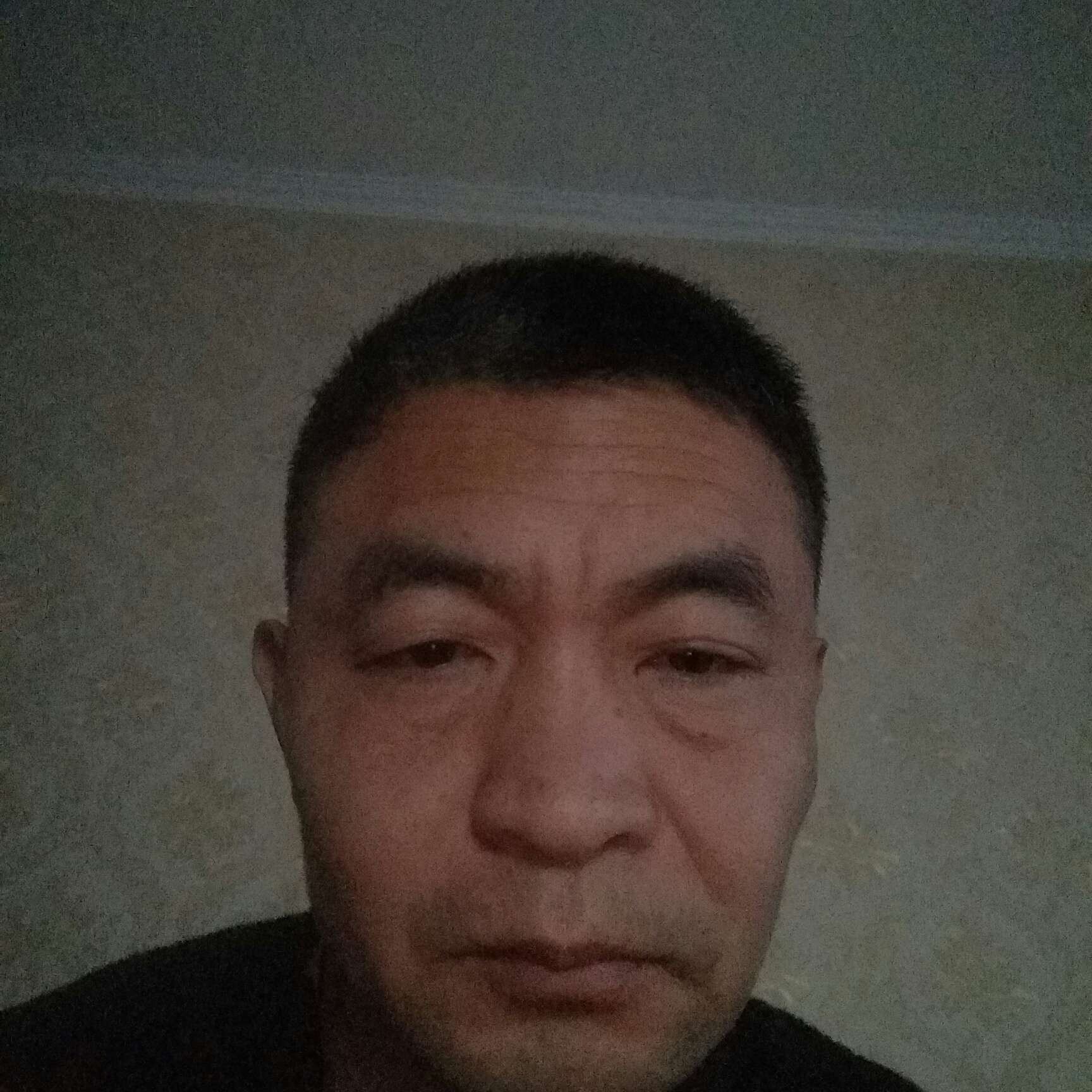温柔和斑马的照片