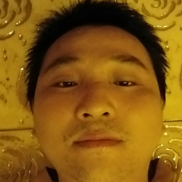 活力说哈密瓜的照片