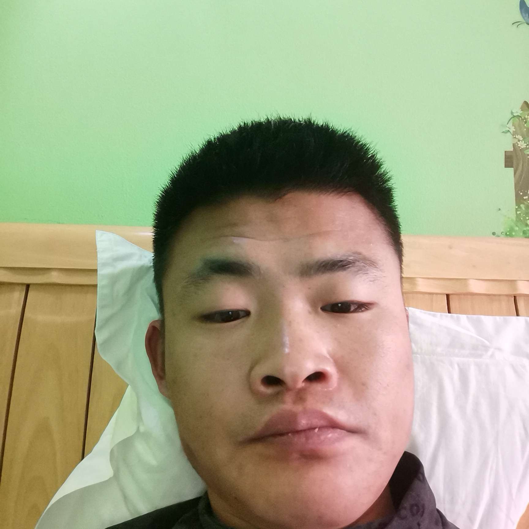 忧虑迎黄蜂的照片