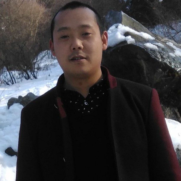 钢笔爱恋传统的照片