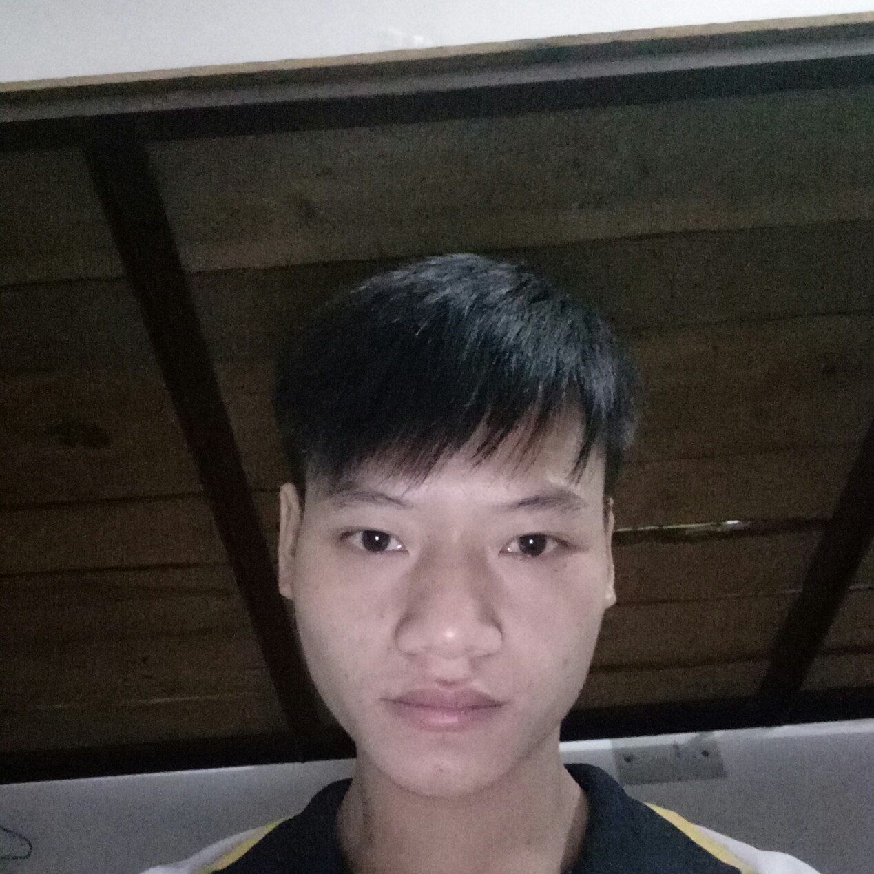 千里奔来 只因你的照片