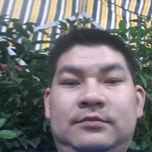 请你来相见的照片