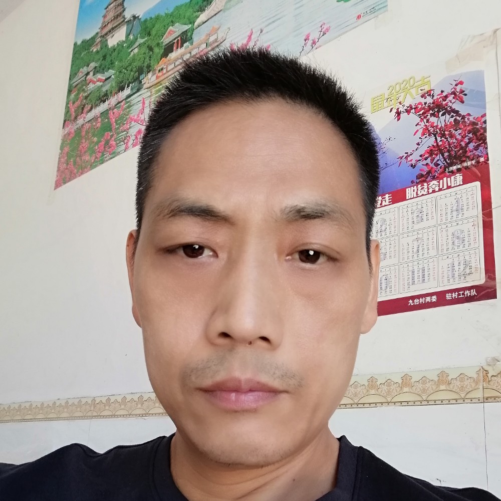 闪闪踢海燕的照片