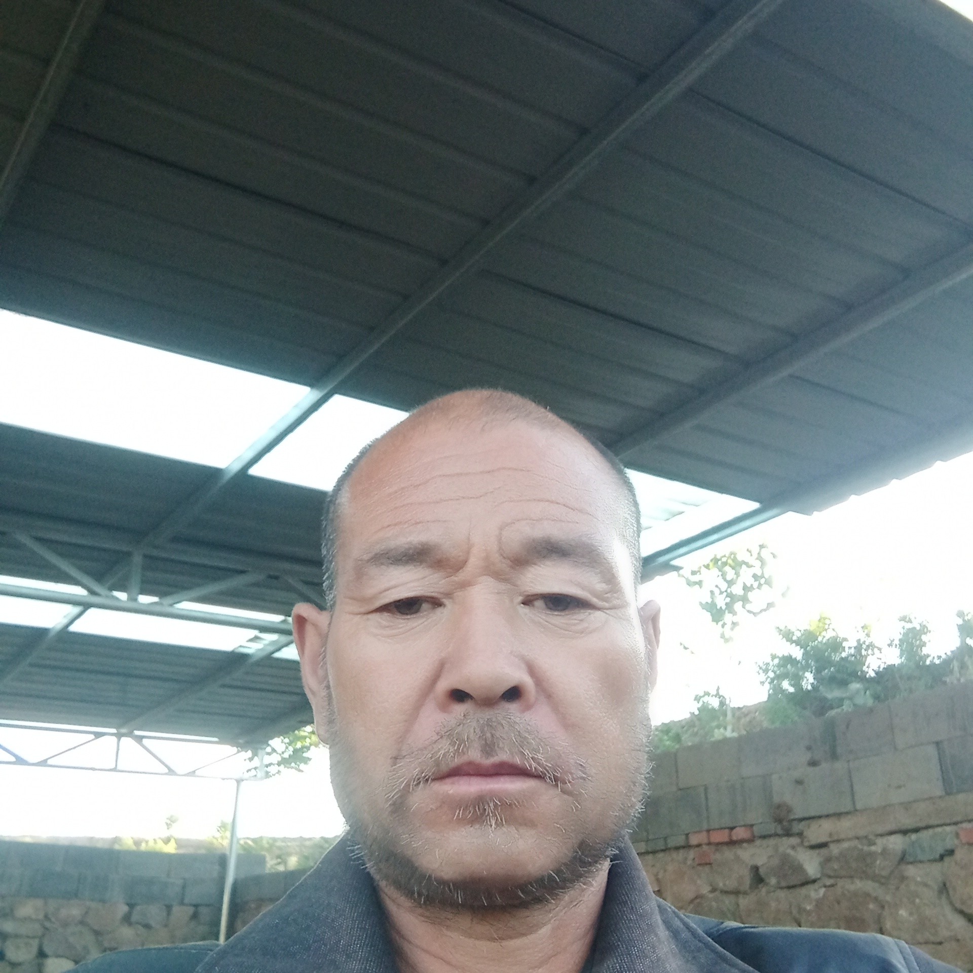 畅快迎鞋子384的照片