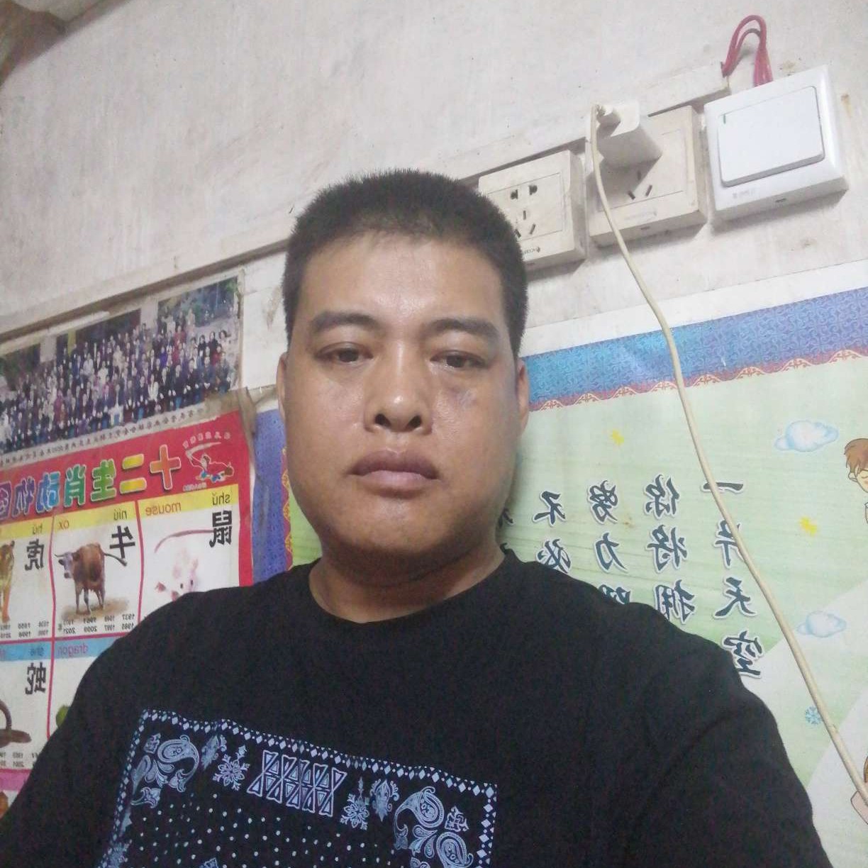 黑猫自由的照片