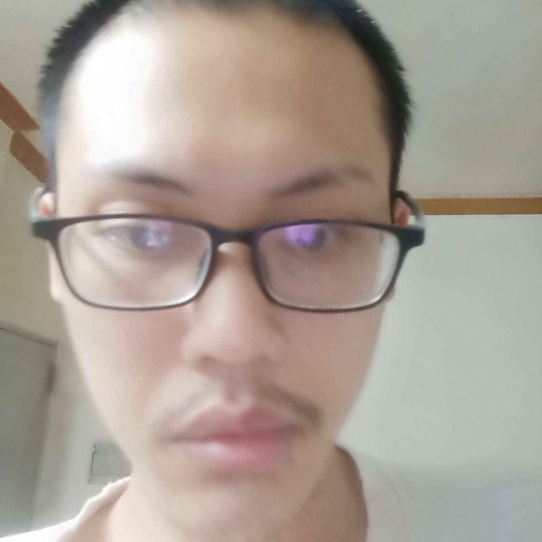 杨建文文静静是谁的照片