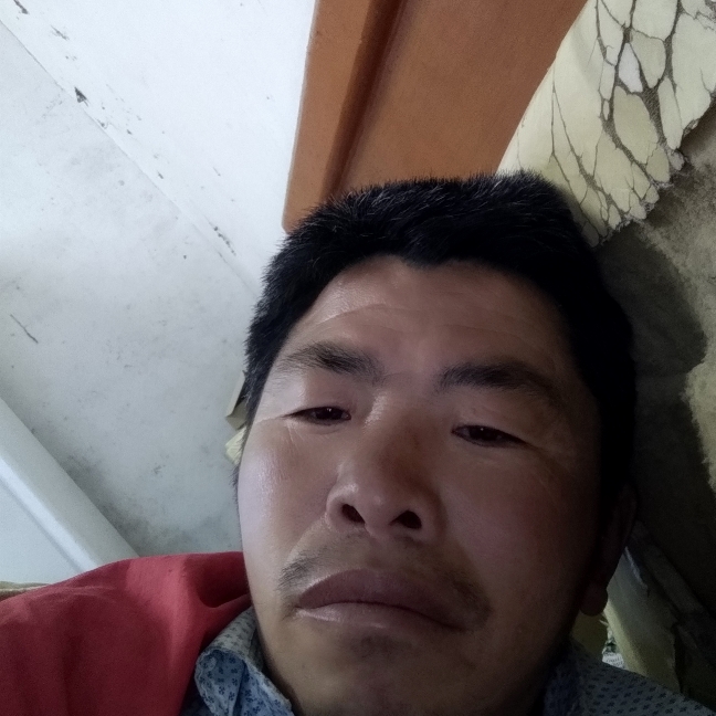 西来西网的照片