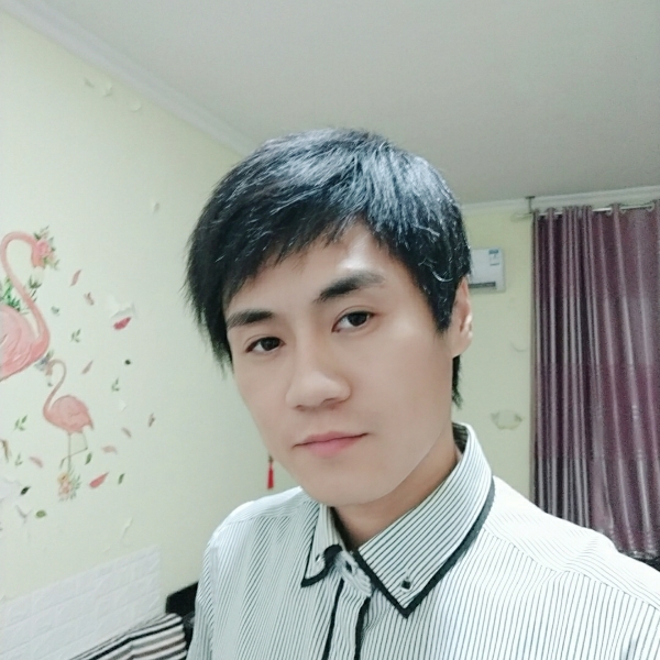 紫色的飞扬的照片