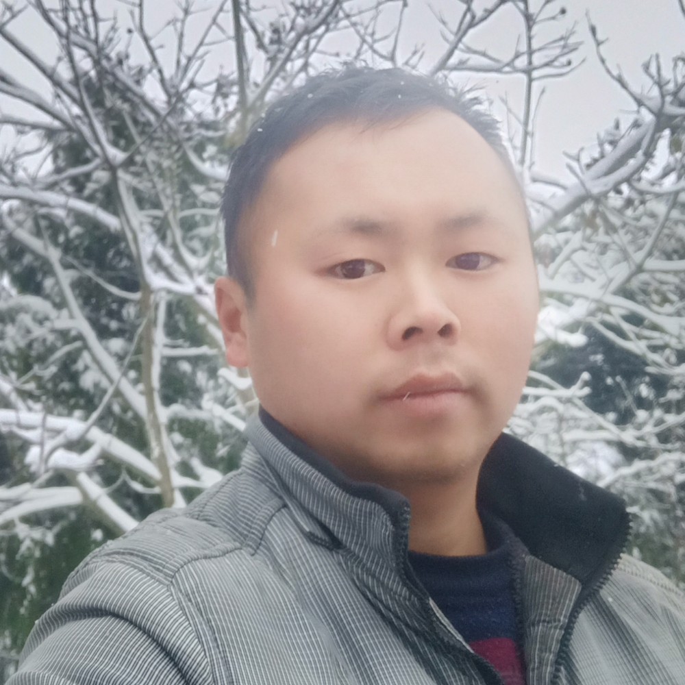 ❤随意动的照片