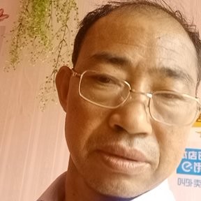 玫瑰可爱的照片