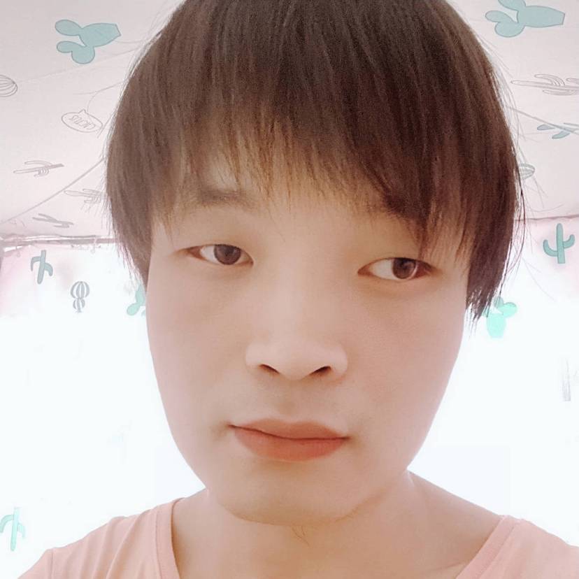 爱再春天进行时的照片