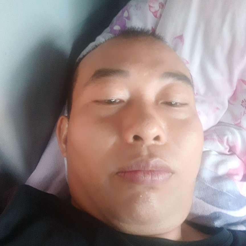 魁梧蹁跹断夏的照片