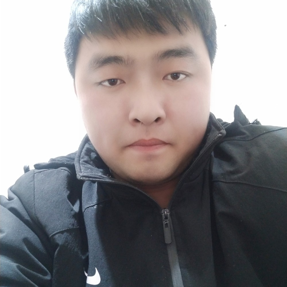 一只胖子的照片