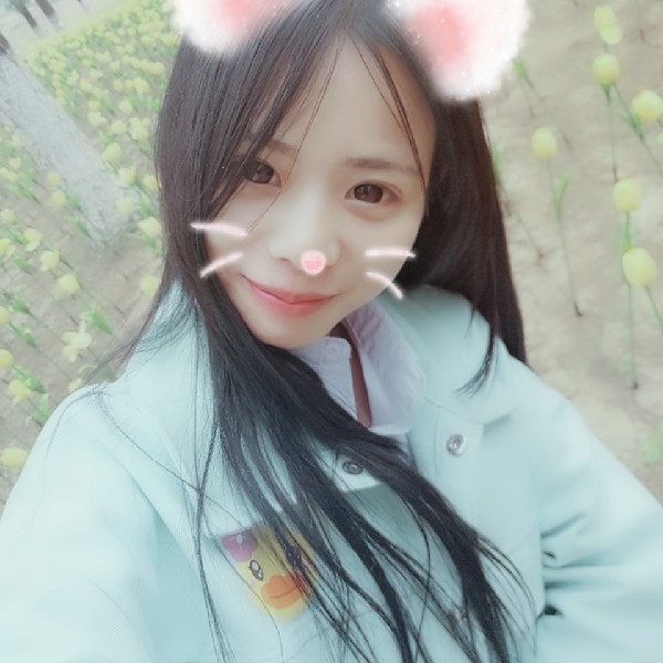 优美停止小熊猫的照片