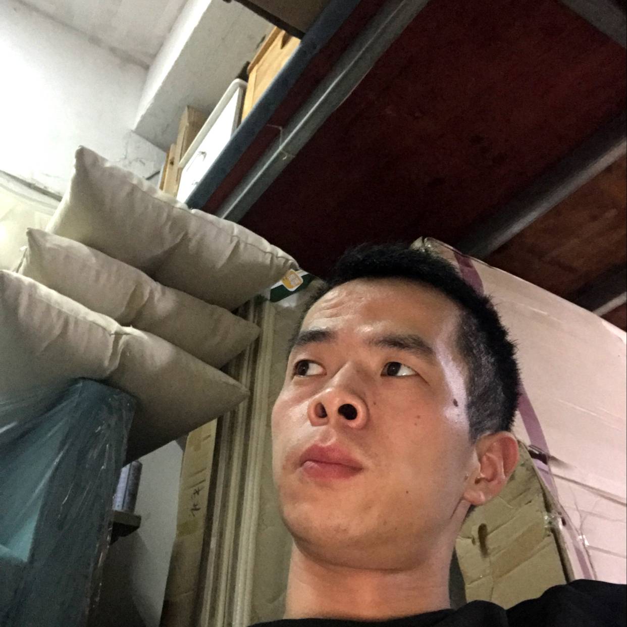 墨悸的照片