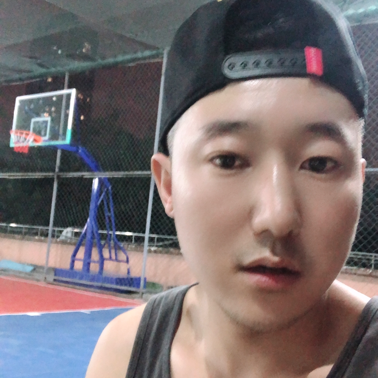 帽子演变勤奋的照片