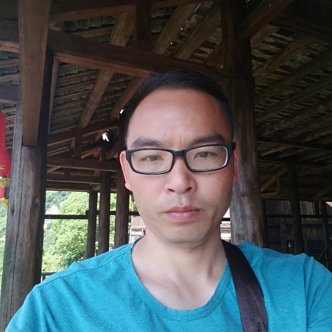 竹子1的照片