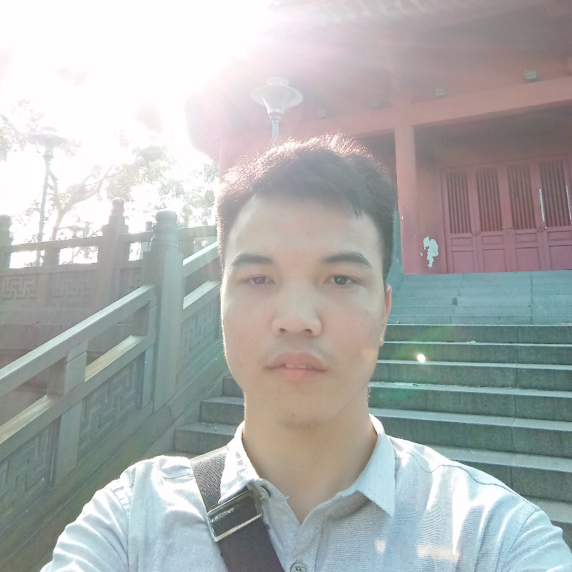 聪明泪了砖头的照片