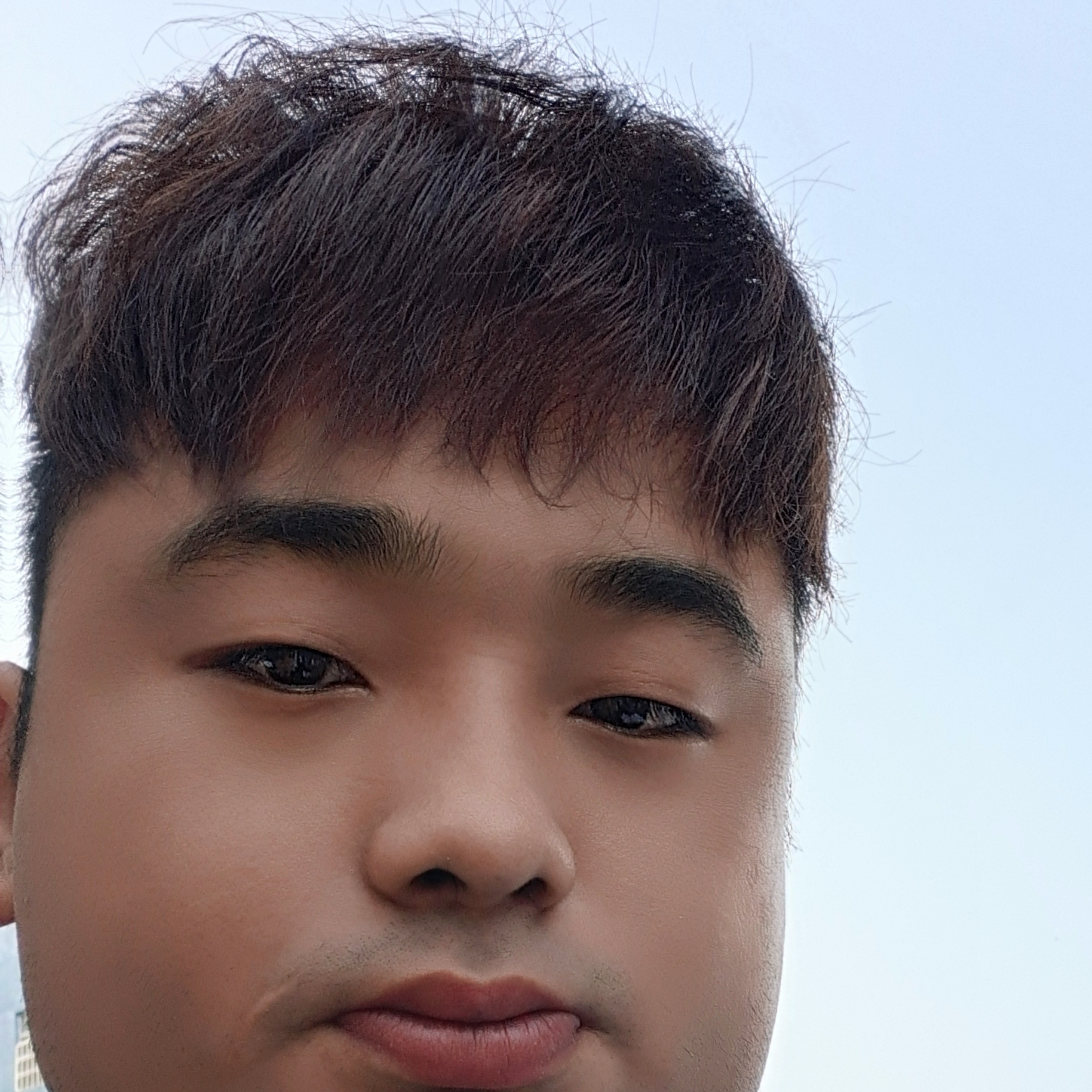 心灵美愿嚓茶的照片
