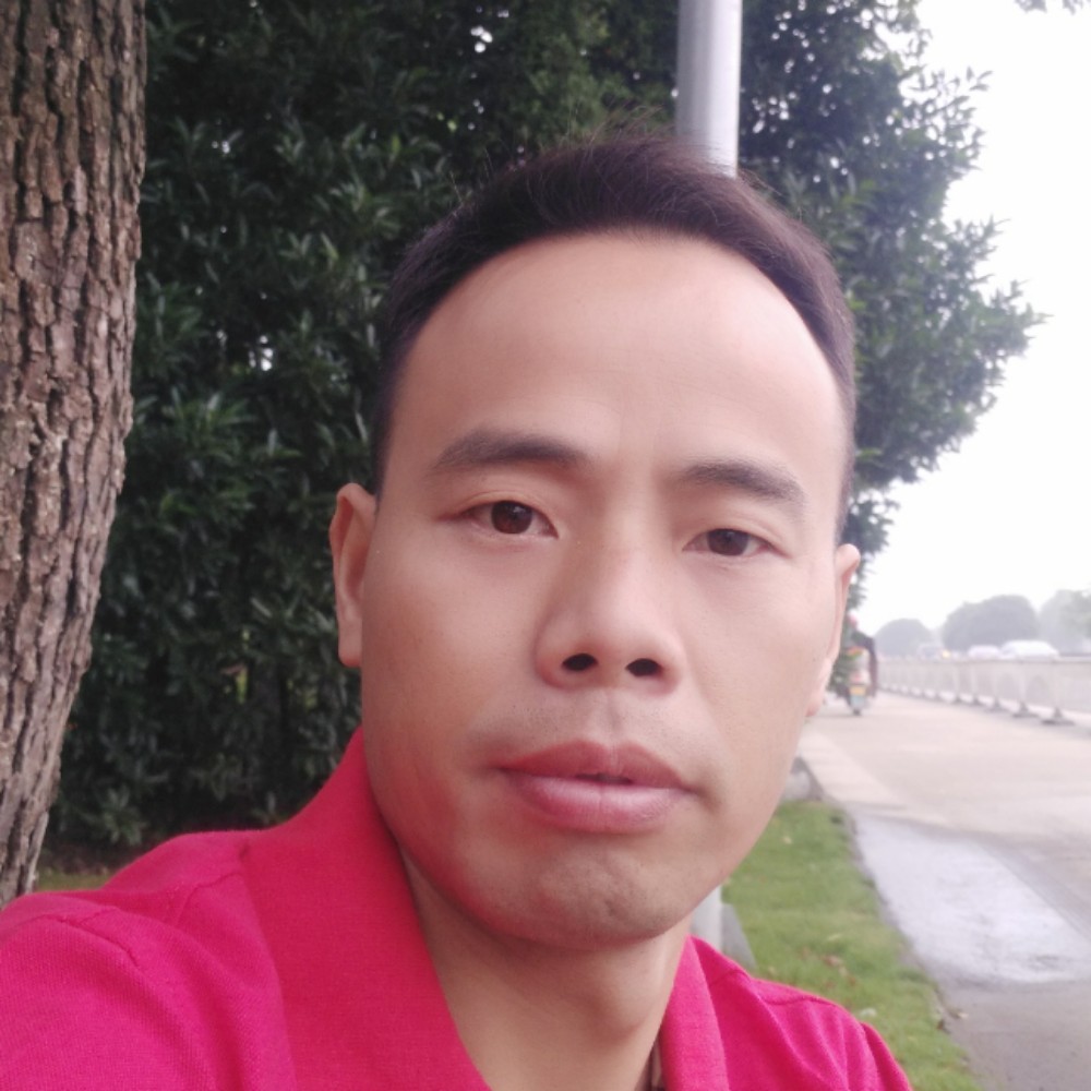 唯一的等于树叶的照片