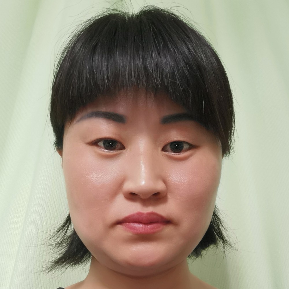 郁金香的照片
