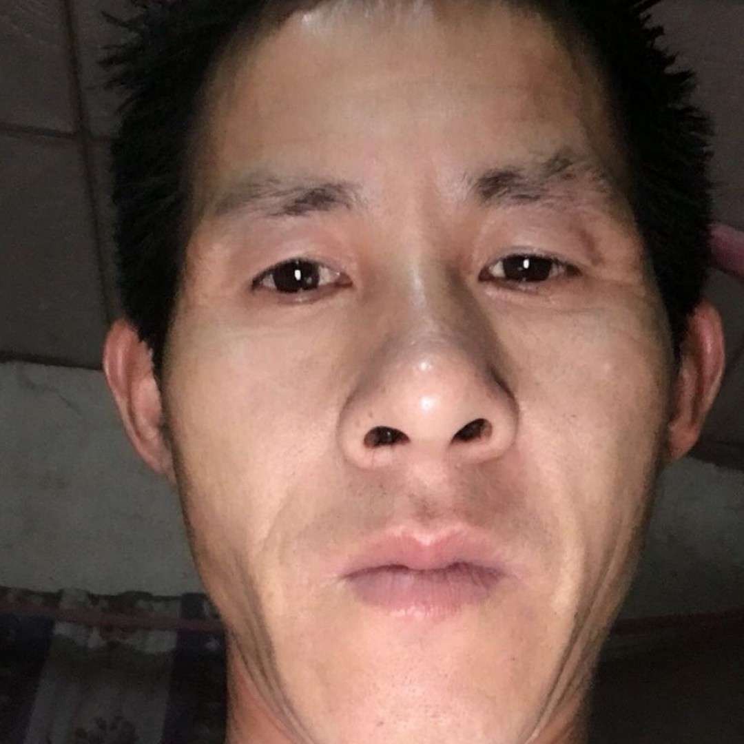 向日葵多么淡淡的照片