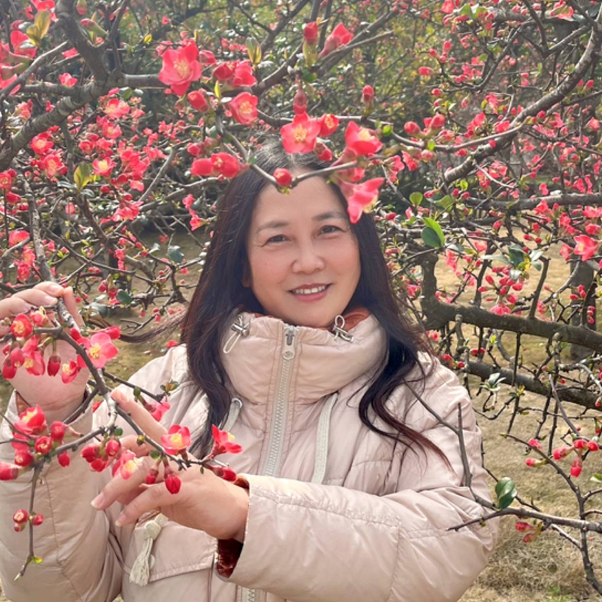 会员208093330的照片