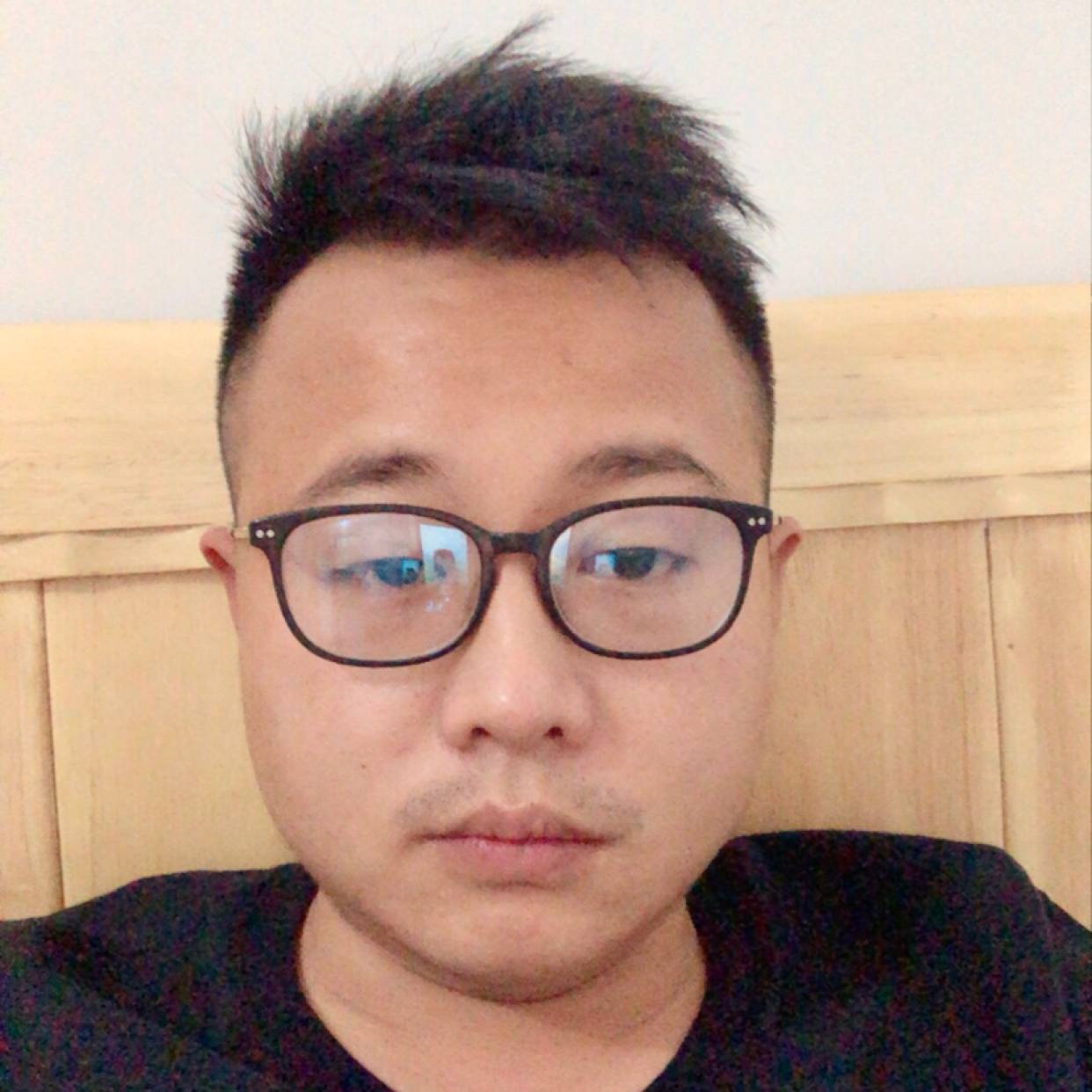 含羞草遇見调皮的照片