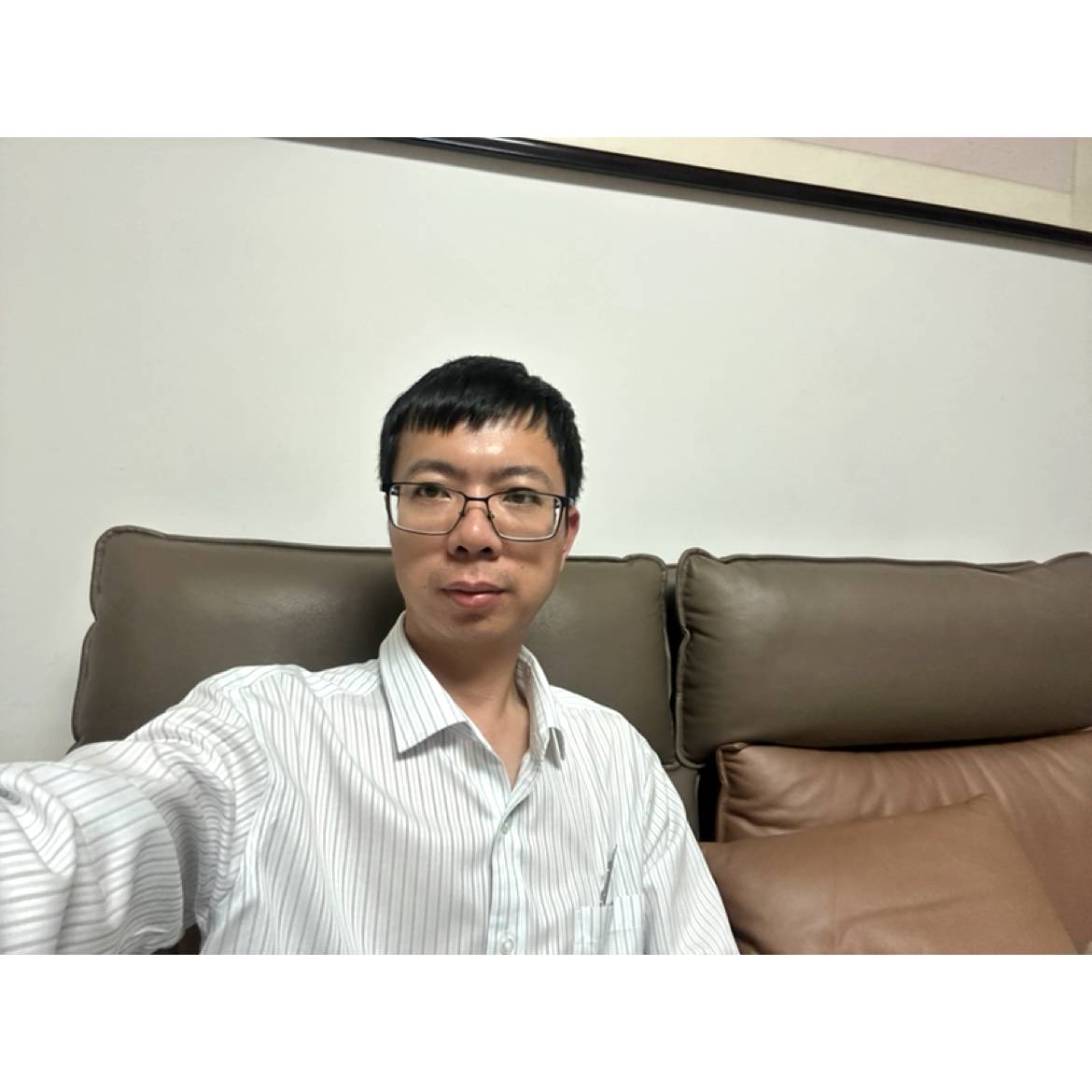 漫游斑马的照片