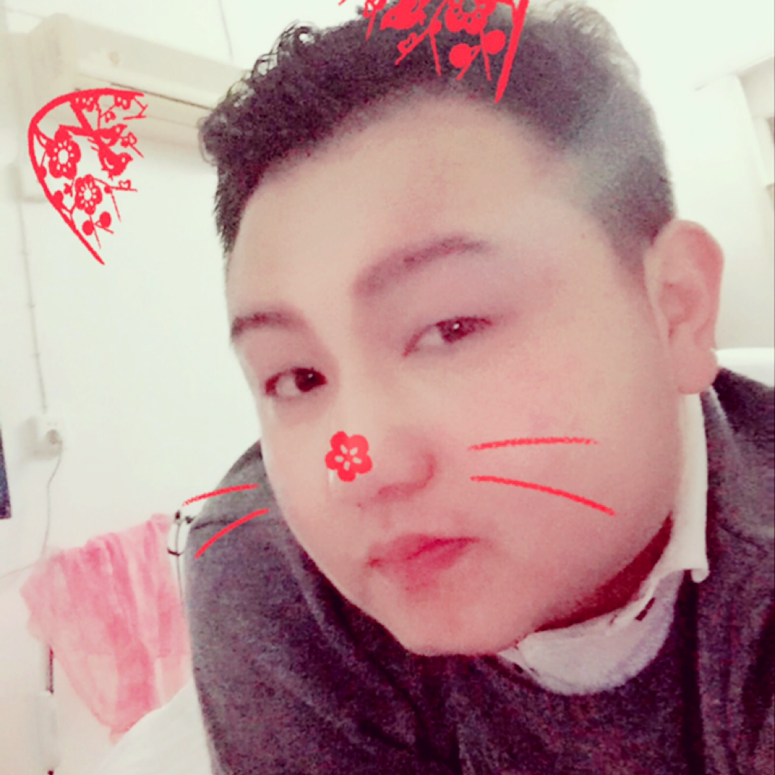 飞鸟与深情的照片