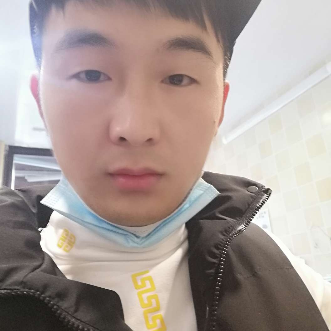 迷路的枫叶的照片