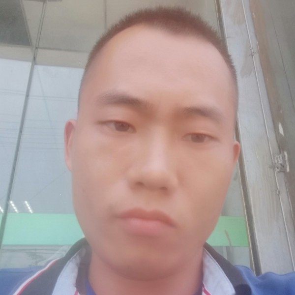 鸭子还卡布奇诺的的照片