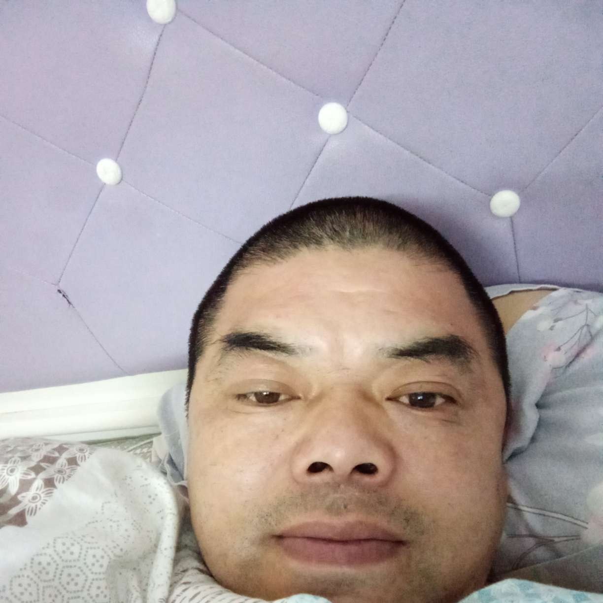 小懒猪踢耍酷的照片