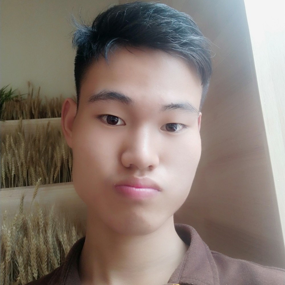 AS西伯利亚狼的照片