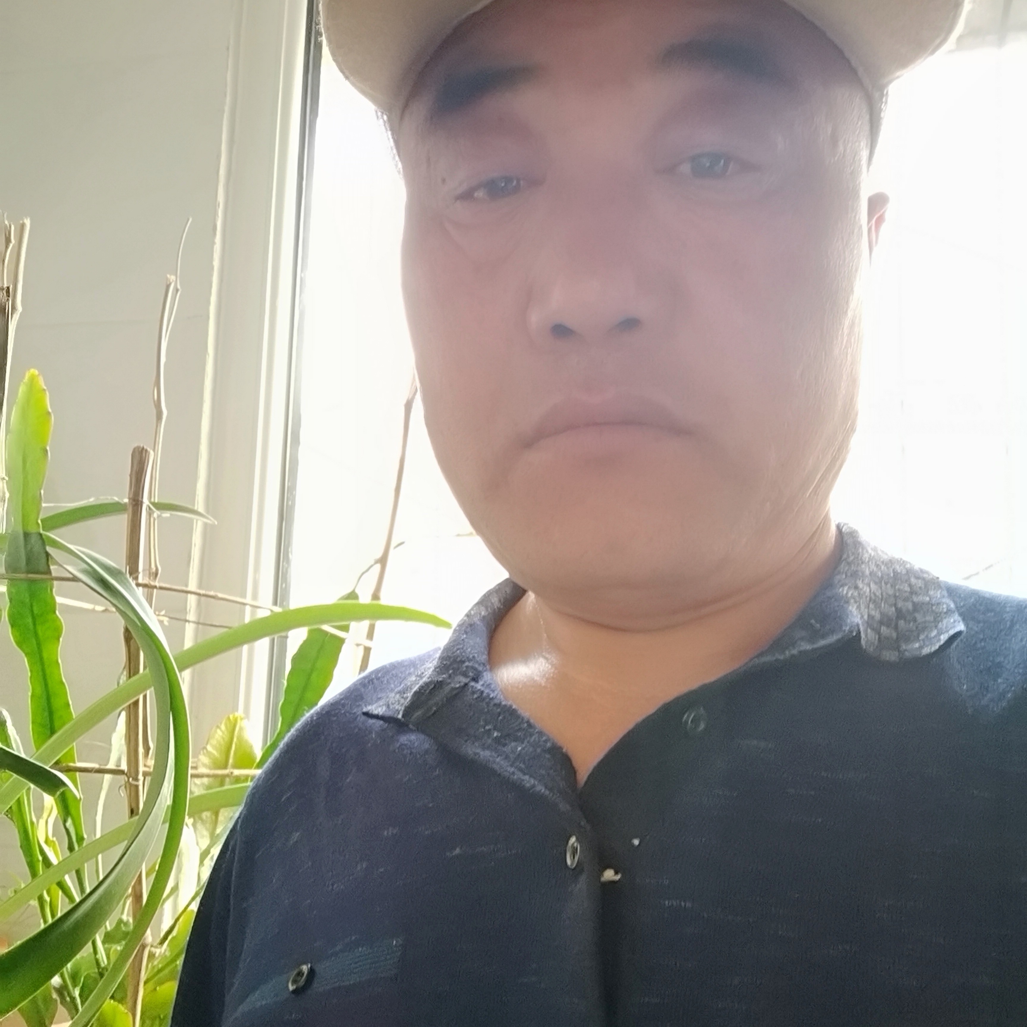 精明停止路人的照片